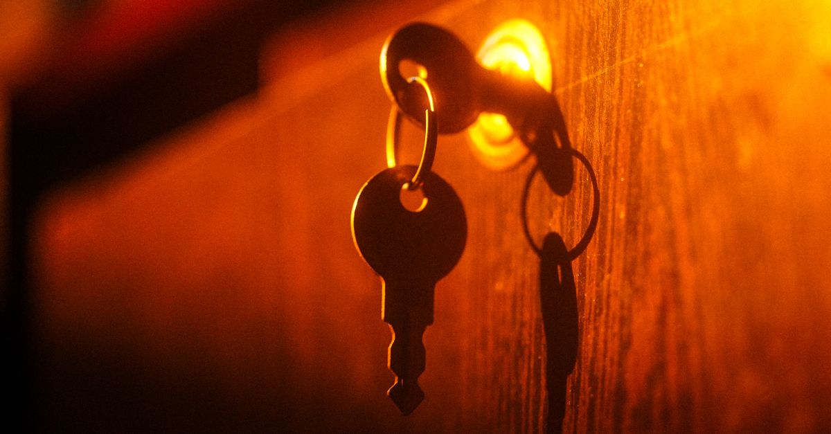 door security hardware — Rapid Keys Locksmith